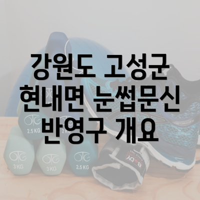 강원도 고성군 현내면 눈썹문신 반영구 개요