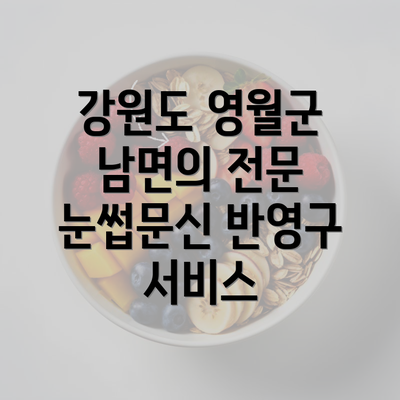 강원도 영월군 남면의 전문 눈썹문신 반영구 서비스