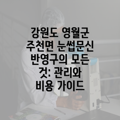 강원도 영월군 주천면 눈썹문신 반영구의 모든 것: 관리와 비용 가이드