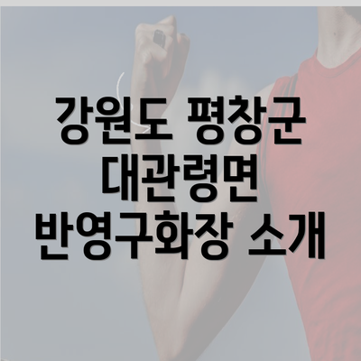 강원도 평창군 대관령면 반영구화장 소개