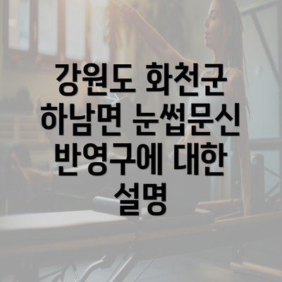 강원도 화천군 하남면 눈썹문신 반영구에 대한 설명