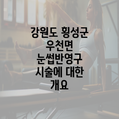 강원도 횡성군 우천면 눈썹반영구 시술에 대한 개요