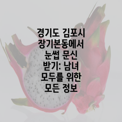 경기도 김포시 장기본동에서 눈썹 문신 받기: 남녀 모두를 위한 모든 정보