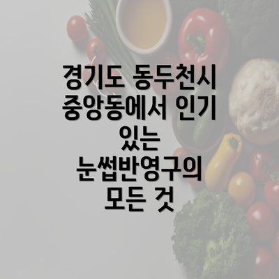 경기도 동두천시 중앙동에서 인기 있는 눈썹반영구의 모든 것