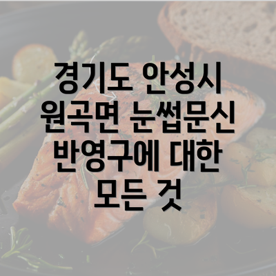 경기도 안성시 원곡면 눈썹문신 반영구에 대한 모든 것