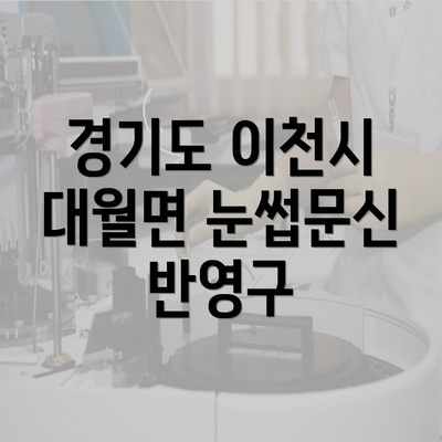 경기도 이천시 대월면 눈썹문신 반영구