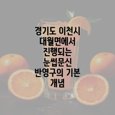 경기도 이천시 대월면에서 진행되는 눈썹문신 반영구의 기본 개념