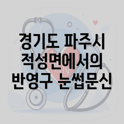 경기도 파주시 적성면에서의 반영구 눈썹문신