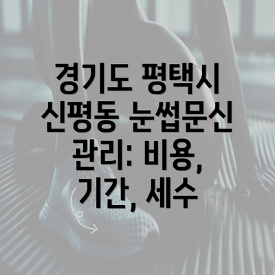 경기도 평택시 신평동 눈썹문신 관리: 비용, 기간, 세수