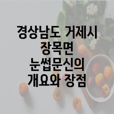 경상남도 거제시 장목면 눈썹문신의 개요와 장점