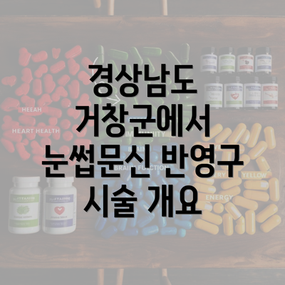 경상남도 거창군에서 눈썹문신 반영구 시술 개요