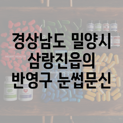 경상남도 밀양시 삼랑진읍의 반영구 눈썹문신