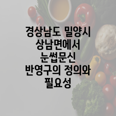 경상남도 밀양시 상남면에서 눈썹문신 반영구의 정의와 필요성