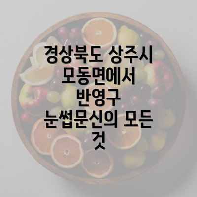 경상북도 상주시 모동면에서 반영구 눈썹문신의 모든 것