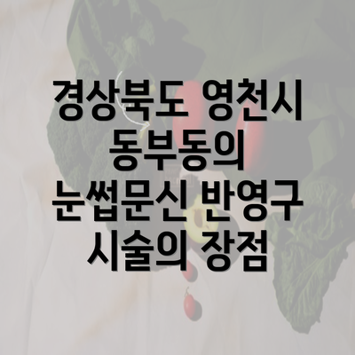 경상북도 영천시 동부동의 눈썹문신 반영구 시술의 장점