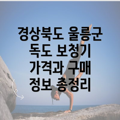 경상북도 울릉군 독도 보청기 가격과 구매 정보 총정리