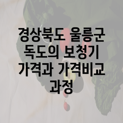 경상북도 울릉군 독도의 보청기 가격과 가격비교 과정