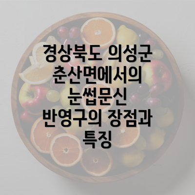 경상북도 의성군 춘산면에서의 눈썹문신 반영구의 장점과 특징