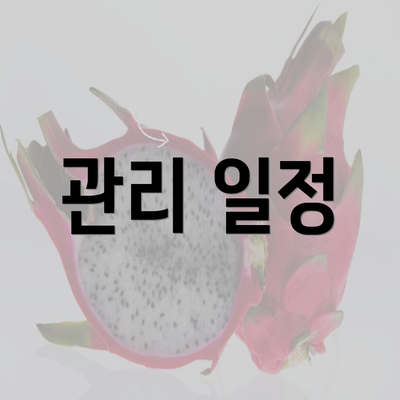 관리 일정