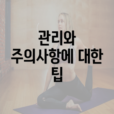 관리와 주의사항에 대한 팁