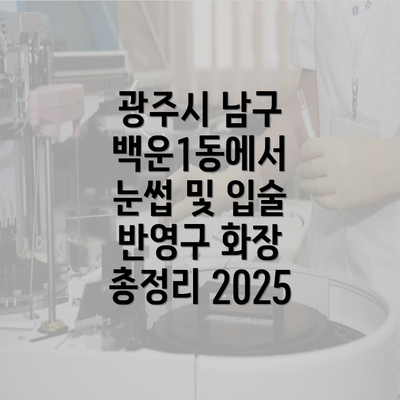 광주시 남구 백운1동에서 눈썹 및 입술 반영구 화장 총정리 2025