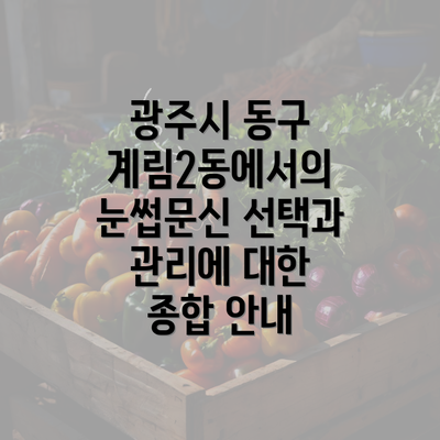 광주시 동구 계림2동에서의 눈썹문신 선택과 관리에 대한 종합 안내