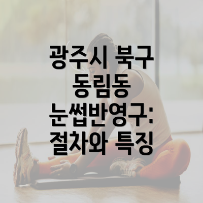 광주시 북구 동림동 눈썹반영구: 절차와 특징