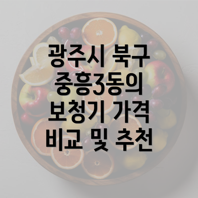 광주시 북구 중흥3동의 보청기 가격 비교 및 추천