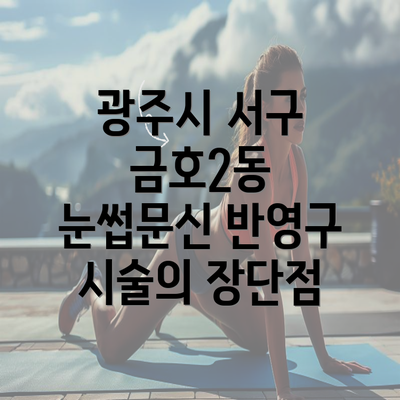 광주시 서구 금호2동 눈썹문신 반영구 시술의 장단점