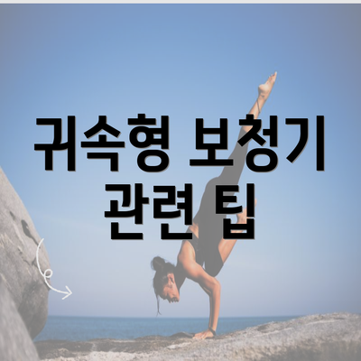 귀속형 보청기 관련 팁