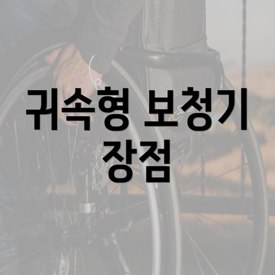 귀속형 보청기 장점