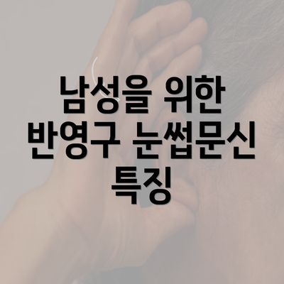 남성을 위한 반영구 눈썹문신 특징