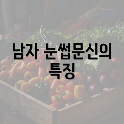 남자 눈썹문신의 특징