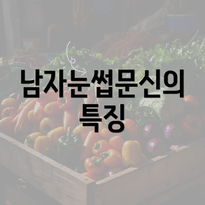 남자눈썹문신의 특징