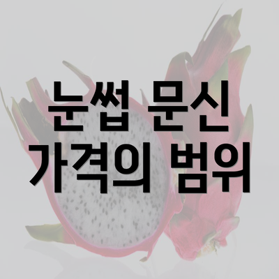 눈썹 문신 가격의 범위