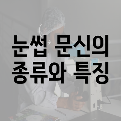 눈썹 문신의 종류와 특징