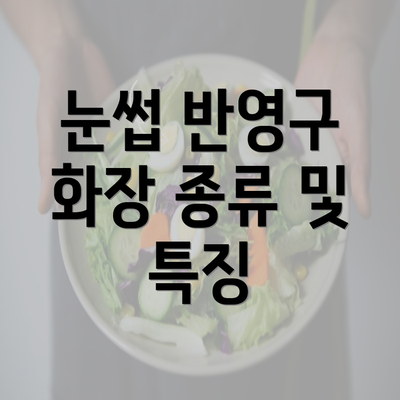 눈썹 반영구 화장 종류 및 특징