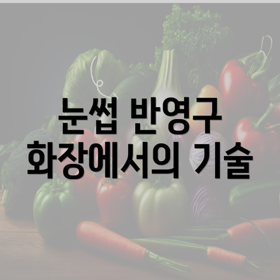 눈썹 반영구 화장에서의 기술