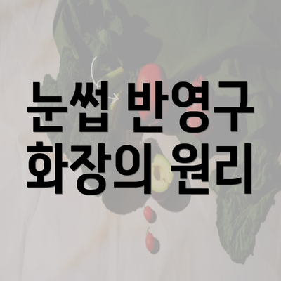 눈썹 반영구 화장의 원리