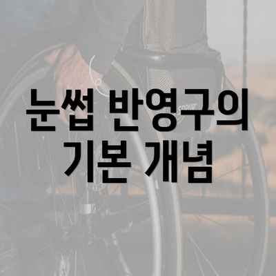 눈썹 반영구의 기본 개념