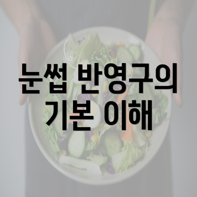 눈썹 반영구의 기본 이해