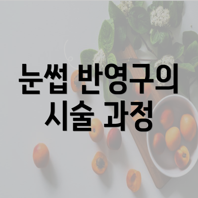 눈썹 반영구의 시술 과정