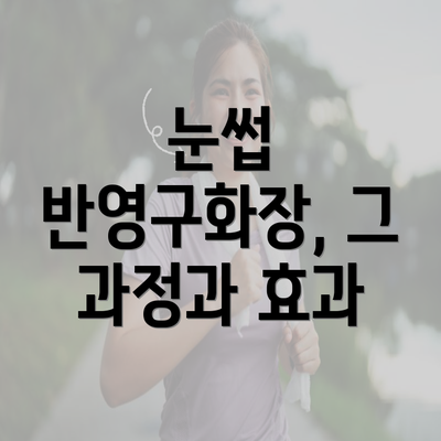 눈썹 반영구화장, 그 과정과 효과