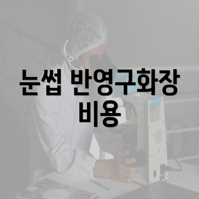 눈썹 반영구화장 비용