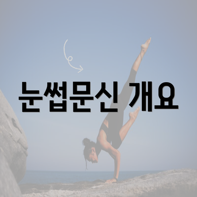 눈썹문신 개요