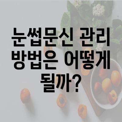 눈썹문신 관리 방법은 어떻게 될까?