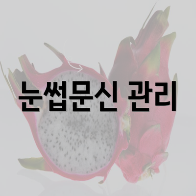 눈썹문신 관리