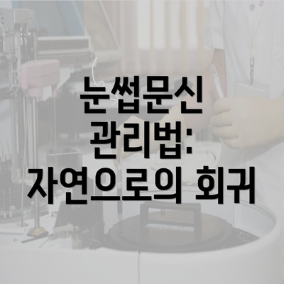 눈썹문신 관리법: 자연으로의 회귀