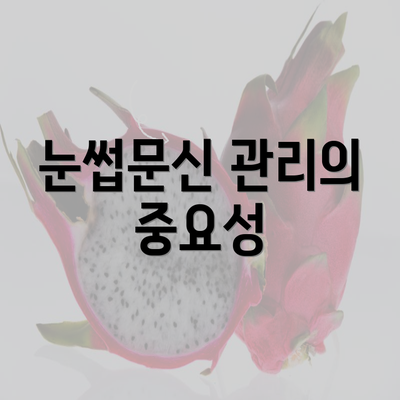 눈썹문신 관리의 중요성