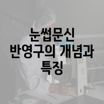 눈썹문신 반영구의 개념과 특징